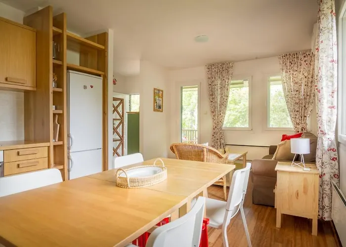 Camelia 골루바츠