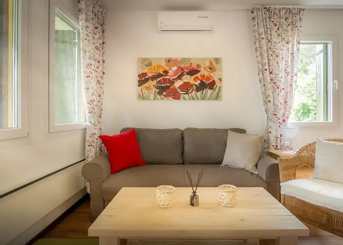 Camelia 골루바츠