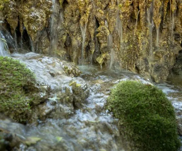 Villa Camelia Golubac